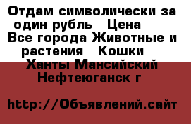 Отдам символически за один рубль › Цена ­ 1 - Все города Животные и растения » Кошки   . Ханты-Мансийский,Нефтеюганск г.